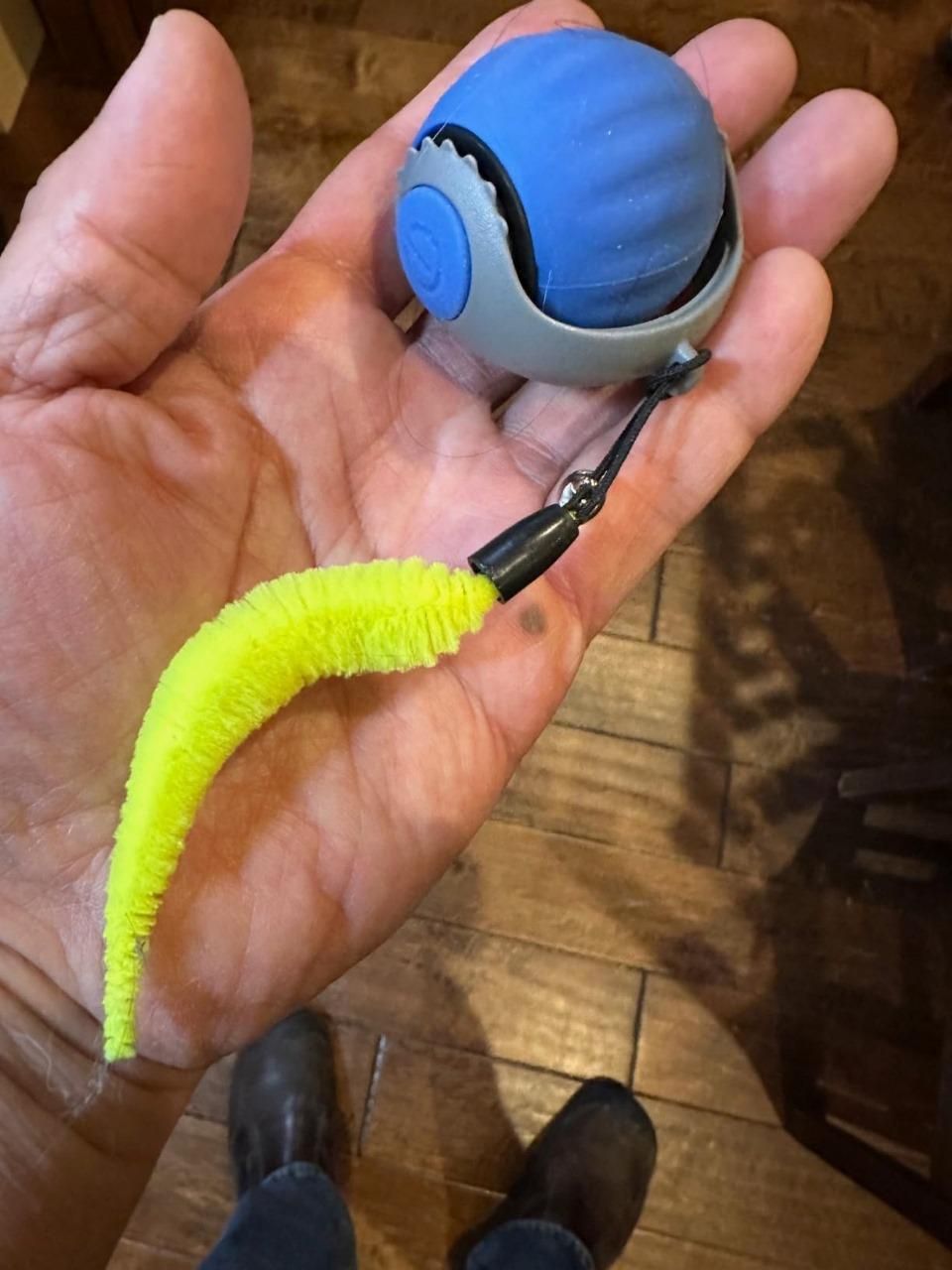 Rolling Ball Cat And Dog Toy